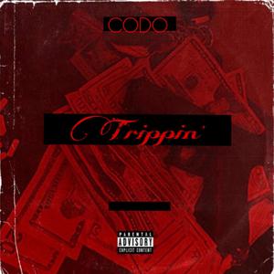 Trippin' (feat. realtallsoldier, Kuttstakin, Krakka & 1neK) [Explicit]