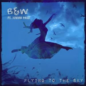 Flying To The Sky (feat. Junior Paes)