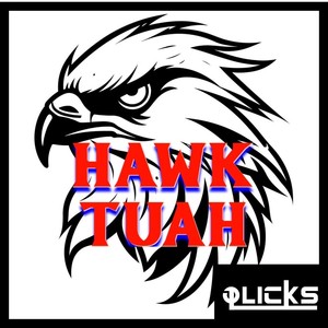 Hawk Tuah