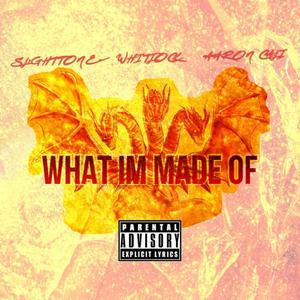 What I'm Made Of (feat. SLiGHtTONE & Aaron California) [Explicit]