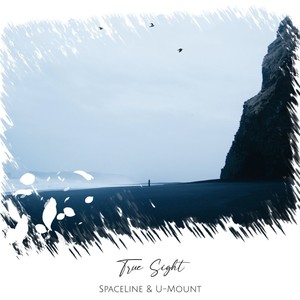 True Sight (Original Mix)