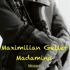 Madamina Mozart (Single Edit)