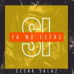 Si Ya No Estás