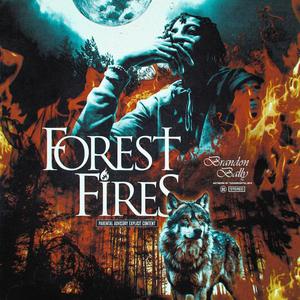 Forest Fires (Explicit)