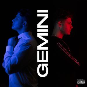 Gemini (Explicit)