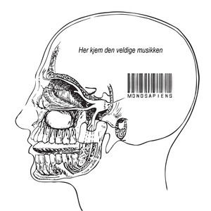 Den Veldige Musikken