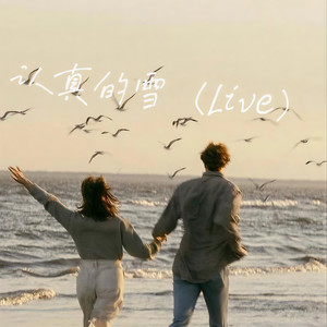 认真的雪-李李李