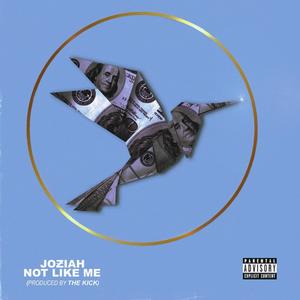Not Like Me (Explicit)
