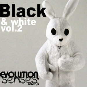 BLACK & WHITE VOL2