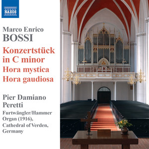 BOSSI, M.E.: Organ Music - Konzertstuck in C Minor / Hora mystica / Hora gaudiosa (Peretti)