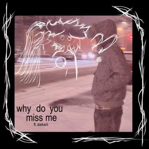 why do you miss me (feat. daikarii)