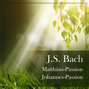 Matthäus-Passion, BWV 244 / Zweiter Teil - No. 60 