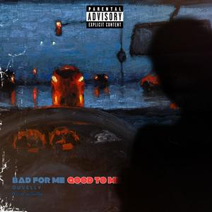 DUVELLY - Fly Shty (Explicit)