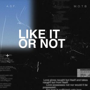 Like It Or Not(feat. M.O.T.B.) (Explicit)