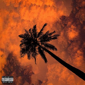 Palma (feat. Rk Wolf & Vacca) (Explicit)