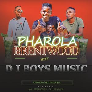 PHAROLA BRENTWOOD PLUS