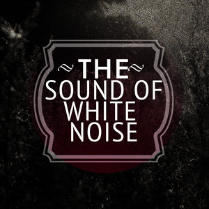 The Sound of White Noise