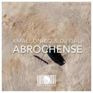 Abrochense (feat. Dj Gali) [Explicit]