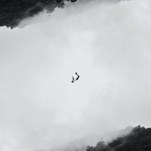 Why Am I Still Dreaming?