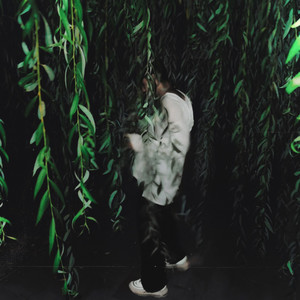 have a nice life (Explicit)