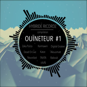 Compilation Ouïneteur #1