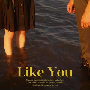 Like You