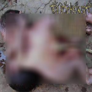 Testicular Mastication (Demo 2021|Explicit)