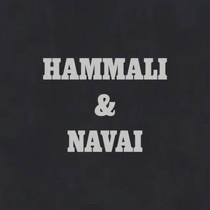 HAMMALI & NAVAI