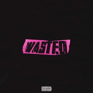 WASTED (Explicit)