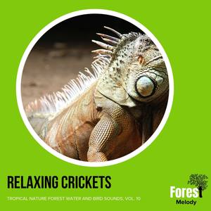 Relaxing Crickets - Tropical Nature Forest Water and Bird Sounds, Vol. 10