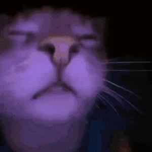 Love (feat. Z Dot Go) (Explicit)