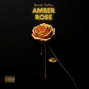 Amber Rose (feat. Stakkwoodz & Datboyjay1k) [Explicit]