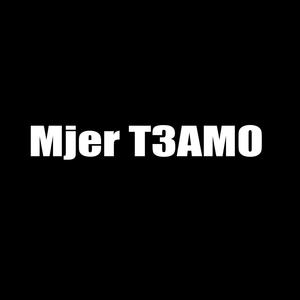 Mjer T3AMO