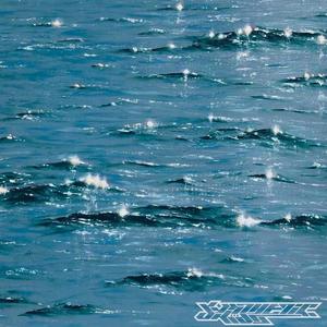 benji passed out at the function (feat. Hxpeless) (Explicit)