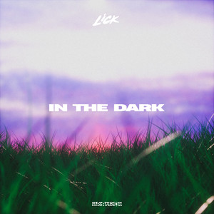 IN THE DARK (Explicit)