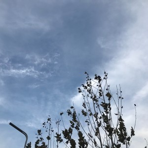 靠近点，我有话要跟你说 (Demo)