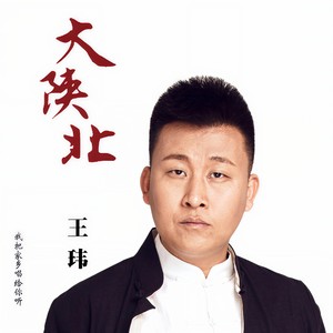 大陕北 (广场舞版)