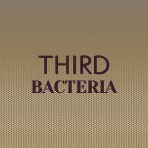 Third Bacteria