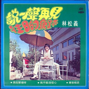 林松义 - 我在那里呀