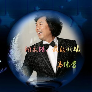 马伟营 - 黄山之歌