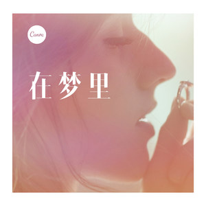 你走以后 (DJ版)