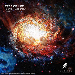 Signal Processing (Original Mix)