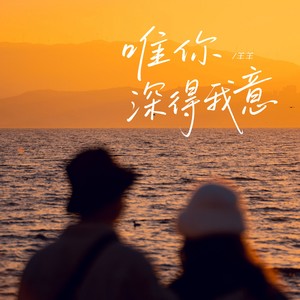 唯你深得我意