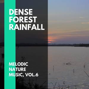Dense Forest Rainfall - Melodic Nature Music, Vol.6