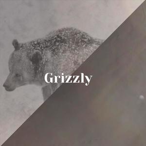 Grizzly