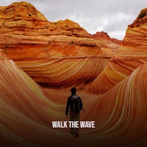 Walk The Wave