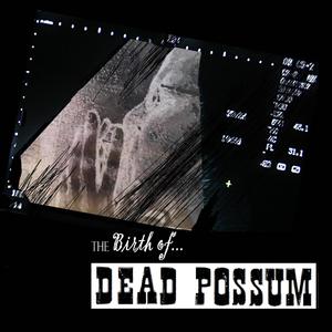 The Birth of Dead Possum