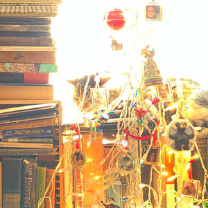 birdsong (feat. Vicite) (Explicit)