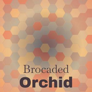 Fourteenth Celestify