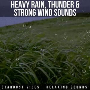 Heavy Rain, Thunder and Strong Wind Sounds